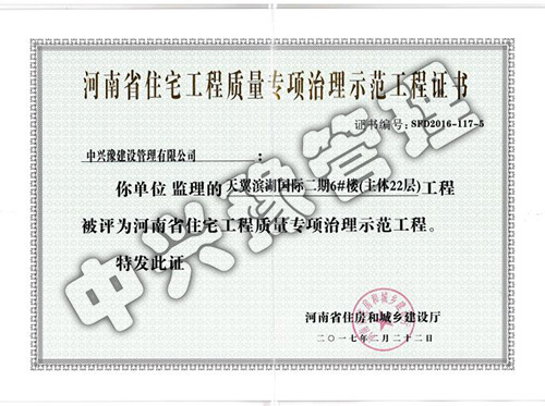2017年工程質(zhì)量專項(xiàng)治理示范工程